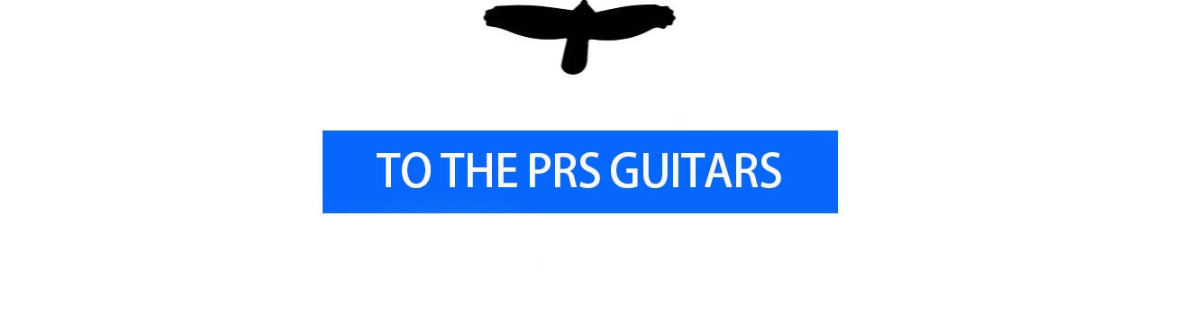 PRS_Guitars_2026_Core_Buyers_Guide-13.jpg